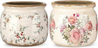 2 Pcs Vintage Planter Ceramic Plants Pot with Drainage Ice Crack Scroll Flower Vase Pot for Indoor Outdoor Plants Home Kitchen Decor Gifts(Farmhouse Rose,5.9")