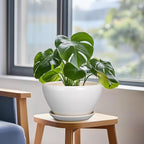 Ceramicfor Ceramic Planter - 9 Inch Plant Pot Indoor with Drainage Hole and Saucer for Outdoor Plants Mid-Century Round Planter Modern Flower Pot for House Garden White