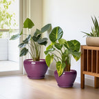 10+8+6 Inch Ceramic Plant Pots, Ceramic Planter for Indoor Outdoor Plants, Round Planter with Drainage Holes and Saucers, Indoor Flower Pots, Room Decor, Housewarming Gift, Set of 3, Purple