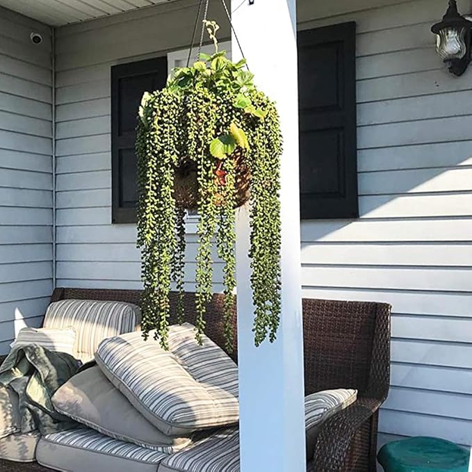 3pcs Artificial Fake String of Pearls Plant Faux Fake Hanging Succulents Plants