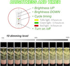 yadoker Plant Grow Light, LED Growing Light Full Spectrum for Indoor Plants,Height Adjustable, Automatic Timer, 5V Low Safe Voltage,Idea for Small Plant Light