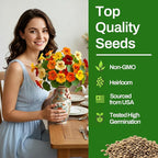 LUOJIBIE Nasturtium Seeds, 550+ Mixed Colors Large Blooms Seeds Bulk Pack, Nasturtium Seeds for Planting 2026, High Germination Non-GMO, Wildflower Seeds for Planting Indoor Outdoor, Open Pollinated