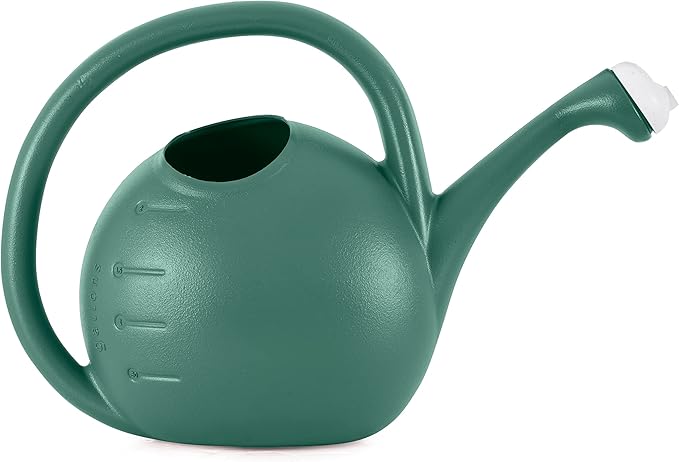 2-Gallon Premium Plastic Rosette Watering Can - The HC Companies 11"x21"x13.75" in Evergreen Color