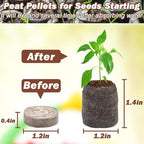 ZeeDix 50Pcs 30mm Peat Pellets for Seedlings, Seed Starter Pods Seed Starting Plugs Soil, Compressed Nutrient Block Potting Soil Discs Pellet for Planting Herbs Flowers Vegetables