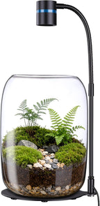 Glass Plant Terrarium with LED Grow Light(H:8.46" D:5.9"), Desktop Terrarium for Venus Fly Trap, Moss & Succulents, Borosilicate Indoor Planter for Home Office Decor