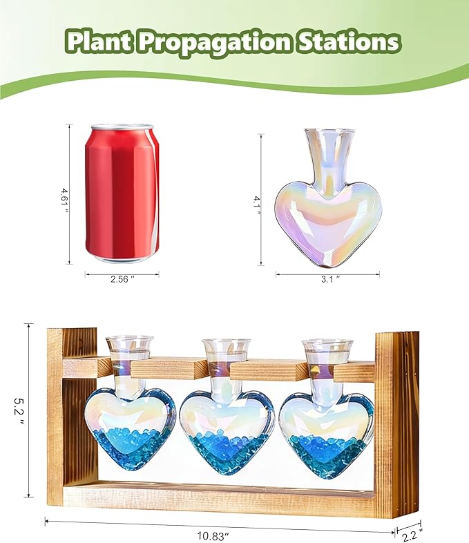 Nacome Plant Terrarium Propagation Stations: Mothers Day Gifts for Mom Plant Lovers Women Wife Daughter - 3 Bulb Glass Vase with Wooden Stand Tabletop for Hydroponics Home Garden Decor(Iridescent)