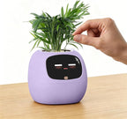 PLANTSIO Ivy Interactive AI Desk Companion, Smart Plant Pet with 100+ Expressions, Cute Indoor Planter for Office Decor, Unique Gift for Plant Lovers & Coworkers(Violet)