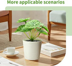 6 Pack Fake Plants for Room Decor,Mini Artificial Potted Plants for Home Office Living Kitchen Classroom Table Shelf Desk Farmhouse Bathroom Indoor Decor