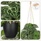 Large Fake Hanging Plants in Pot with Hook, 37" Artificial Hanging Pothos Long Vines Plants, Fake Potted Greenery Plant for Room Wall Living Room Bathroom Kitchen, Big Faux Ivy Houseplants for Shelf