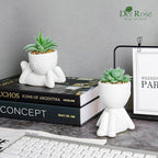 Der Rose 2 Pack Fake Plants Succulents Plants Artificial for Living Room Home Bathroom Office Decor