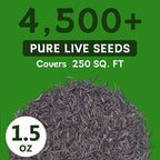 LUOJIBIE Cosmos Seeds, 4,500+ Cosmos Flower Seeds for 2026, Wildflower Seeds for Planting Outdoor Garden, Crazy Blend Mix Color, No Filler, 1.5 Oz Packet, Easy to Grow