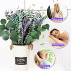 115 PCS Large Dried Preserved Eucalyptus Stems & Lavender Flowers Bundle for Shower, 17'' Real Fresh Hanging Silver Dollar Leaves, Aromatic Self-Care Shower Plants, Natural Fragrance, Home Decor