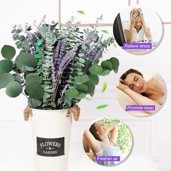 115 PCS Large Dried Preserved Eucalyptus Stems & Lavender Flowers Bundle for Shower, 17'' Real Fresh Hanging Silver Dollar Leaves, Aromatic Self-Care Shower Plants, Natural Fragrance, Home Decor