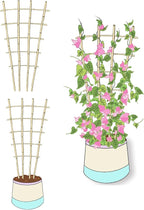Natural Bamboo Trellis, 3Feet,3Pack,Fan-Shaped Plant Support Trellis for Outdoor and Indoor Potted Climbing Plants,Vegetables, Cucumber, Tomato, Hoya,