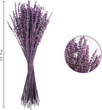Uieke Dried Lavender Flowers Bundles, 16" Dried Purple Preserved Lavender Stems Bouquet for Shower Weeding Home Fragrance Vase Crafts Decor, 100g(3.52oz)