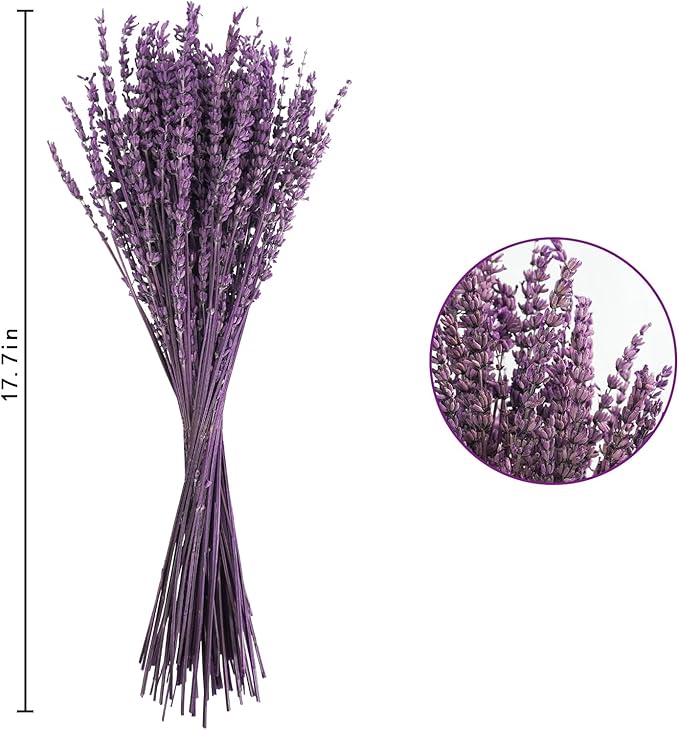 Uieke Dried Lavender Flowers Bundles, 16" Dried Purple Preserved Lavender Bouquet for Shower Weeding Home Fragrance Vase Crafts Decor, 50g (1.76oz)
