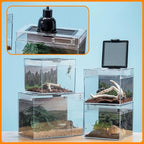 Reptile Terrarium, Jumping Spider Enclosure Starter Kit, Leopard Gecko Habitat Container, 8"x8"x7"Reptile Tank for Tarantula, Hermit Crab, Insect, Fish, Frog, Small Bearded Dragon, Lizard