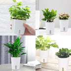 3" Self Watering Pots,20 Sets Self Watering Planter Pots for Indoor Plants with Water Level Indicator and Multiple Vents,Self Watering Planters,Self Watering Plant Pot for House Plants,Flowers,Herbs