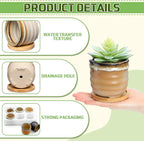 Remerry 6 Pcs Small Succulent Pots Bulk with Drainage Assorted 3.5 Inch Mini Ceramic Succulent Planters Pot with Coaster Bamboo Plant Tray Planting Pots for Home Office Garden