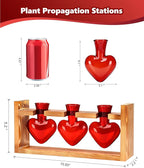 Nacome Plant Terrarium Propagation Stations: Mothers Day Gifts for Mom Plant Lovers Women Wife Daughter - 3 Bulb Glass Vase with Wooden Stand Tabletop for Hydroponics Garden Home Wall Decor(Red)