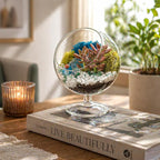 Creations by Nathalie DIY 6" DIY Chalice Terrarium Kit - Build Your Own Glass Terrarium for Adults & Teens with Moss, Crystals, Tools & Decorative Figurine - Mini Ecosystem (Plant Not Included)
