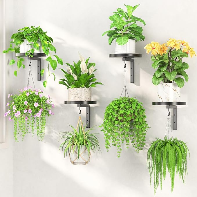 LASZOLA Plant Hangers Shelves Wall Mounted Indoor, Metal Window Plant Holders, 4Pcs Modern Floating Flower Display Stand with 4 Hooks for Outdoor Kitchen Bathroom Decor, Black