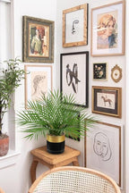 Briful Fake Plant 15.7’’ Artificial Palm Plant in Gold Black Pot Real Touch Faux Tropical Palm Tree Houseplant for Home Indoor Living Room Tabletop Balcony Decorations