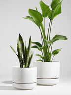 LE TAUCI 12 Inch Pots for Plants with Saucer | Ceramic Outdoor & Indoor Planter Pot for Plants | Drainage Hole, Mesh Pad & Plug | Unglazed Porous | Modern for Home, Office and Patio – Chalk White