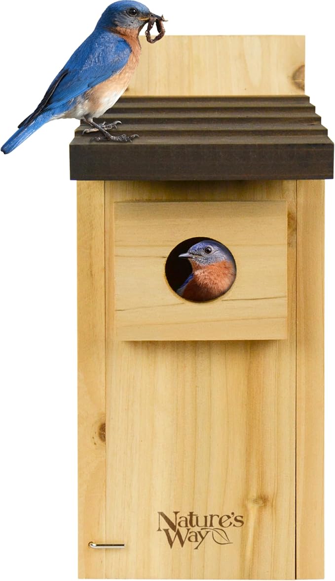 Nature’s Way Cedar Bluebird House for Outdoor Nesting, Predator Guard, Ventilated Design & Easy Access Clean-Out Panel, Natural Wood