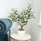 Caxchiling Fake Olive Plants 2FT, Artificial Small Olive Tree Indoor, Faux Potted Plants Decor for Tabletop, Desk, Shelf, Office, Kitchen, Living Room, Bedroom, Bathroom