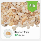 5 lbs Coarse Sand for Plants, 1/5 Inch Horticultural Sand for Succulents, Desert Silica Sand for Cactus, Vases, Aquariums, Terrarium, Fish Tank, Drainage Gravel for Potted Plants, Bamboo, Crafts