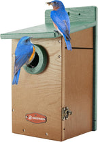 Kingsyard Recycled Plastic Bird House for Outdoor - Durable Nesting Box with Clear View Panel & Predator Guard for Bluebird Wren Swallow Finch, Green & Brown