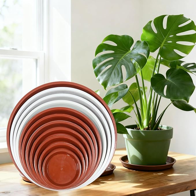 4 Size Round Plant Saucer,8 Pack Pant Pot Trays, Plant Saucers for Indoors and Outdoors, Seed Starting Tray, Growing Trays,Terracotta（4",5",6",8"）