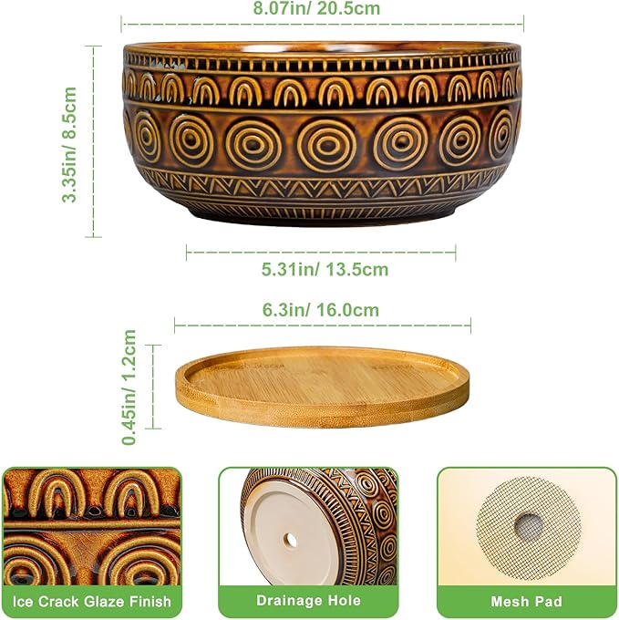 Eightpot Bonsai Pots 8 Inch - Ceramic Succulent Planters for Indoor Plants, Shallow Plant Pots with Drainage Hole and Saucer, Boho Round Planter Bowl, Office Decor, Brown