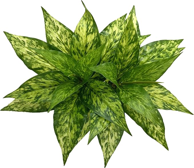 Artificial Agave Fake Plants, Faux Shrubs Grass Bushes Plant Plastic Flowers for Wedding Party Office Indoor Outdoor Room Yard Garden Greenery Leaves Decor Planter Filler Decoration Yellow 2 Pack
