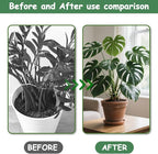 5PCS Iron Monstera Plant Support, Plant Stem Support, Turtle Shell Bamboo Clamp Set, Stable Plant Support Stakes for Indoor Plant, Ideal Present for Plant Lovers