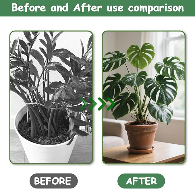 5PCS Iron Monstera Plant Support, Plant Stem Support, Turtle Shell Bamboo Clamp Set, Stable Plant Support Stakes for Indoor Plant, Ideal Present for Plant Lovers
