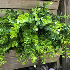 24 Bundles Outdoor Artificial Boxwood Stems Faux Plants Shrubs, Fake UV Resistant Greenery Foliage Spring for Farmhouse, Home, Garden, Office, Patio, Wedding Decor