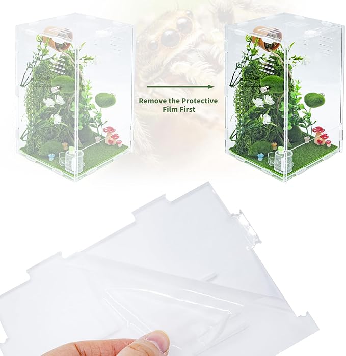 Jumping Spider Enclosure Accessories, DIY Habitat Decoration Set with Feeding Dish and Hideout, Spider Enclosure, Habitat Accessories for Jumping Spider, Tarantula, Insect