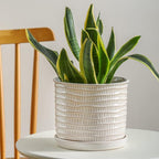8 Inch Plant Pot: Ceramic Planter with Drainage Hole & Saucer for Indoor Outdoor Plants - Flowerpot with Bonded Tray for Home Office - Wave Embossed