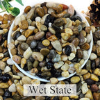 YISZM 2lbs Natural River Rocks for Plants, 3/8" Aquarium Gravel Decorative Polished Mixed Pebbles for Fish Tank, Gardening, Flower Pots, Vase Fillers, Indoor Water Fountains, Landscaping