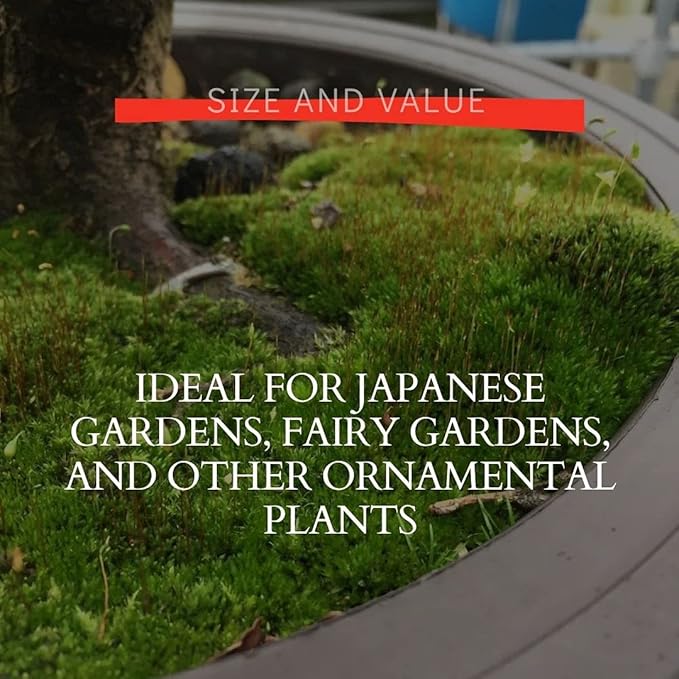 Moss Spores for Bonsai Trees - Covers Up to Three Square Feet, Bright Green Velvet Kyoto Bonsai Moss That is Weed Free, Indefinite Shelf Life