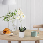 Artificial Phalaenopsis Orchid Bonsai Plant White 8-Bloom Faux Potted Flower Home Decor Indoor Fake Plant Ornament for Living Room Table Decoration