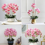 FagusHome 32 Inch Artificial Phalaenopsis Flowers 6 Pcs Artificial Orchid Flowers Stem Plants for Home Décor (Pink)