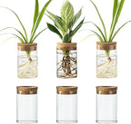 Glass Plant Propagation Station Set of 6, Modern Desktop Flower Vase for Succulent Cuttings, Home Office Decoration, Ideal Housewarming Gift for Living Room, Bedroom