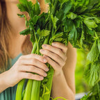 Organic Utah Tall Celery Seeds - USDA Organic, Non-GMO, Open Pollinated, Heirloom, USA Origin (1 Packet - 250 MG - Approx 500 Seeds)