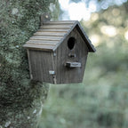 Bird House Black Birdhouse Bird Houses for Outside with Pole Wooden Bird House for Finch Bluebird House Cardinals Hanging Birdhouse Clearance Garden Country Cottages B8-2