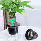3 Inch Net Pots for Hydroponics 60 Packs with Plant Labels 60Pcs Heavy Duty Wide Mouth Net Cups Slotted Mesh Pot Garden Supplies (3 inch 60 Packs)