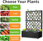 Metal Planter Box with Privacy Screen Trellis,Galvanized Raised Garden Bed On Wheels for Climbing Plants Vines, Standing Garden Flower Bed with Drainage Holes (Black, 35" L x16 W x 55" H)
