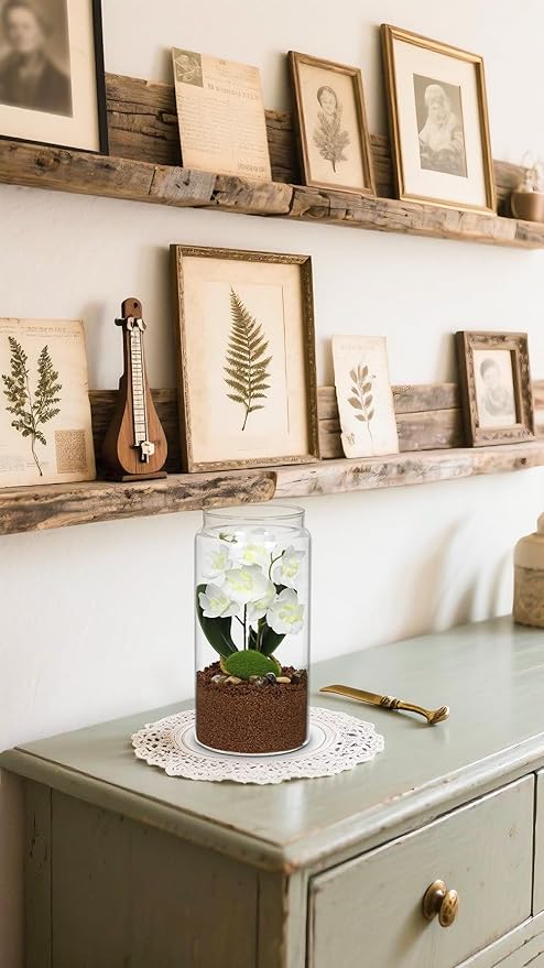 White Orchids Artificial Flowers with Vase, Small Faux Orchid Arrangement Fake Orchids Plant in Terrarium Jar Small White Orchid Centerpieces for Kitchen Dining Room Tables Bathroom Nightstand Decor